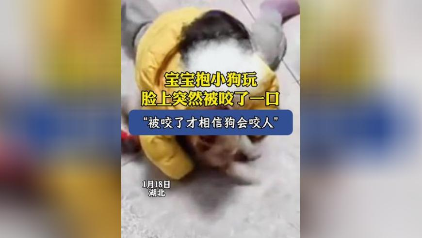 彩智彩票網,緬甸7.9級強震驚魂時刻,機構預測與落實方法揭秘_專家版V7.2