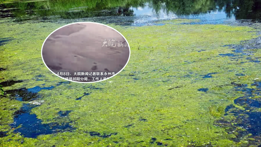 2025第二期管家婆圖片,世紀(jì)嬰兒千千去世,展開計劃實施_AndroidV11.20